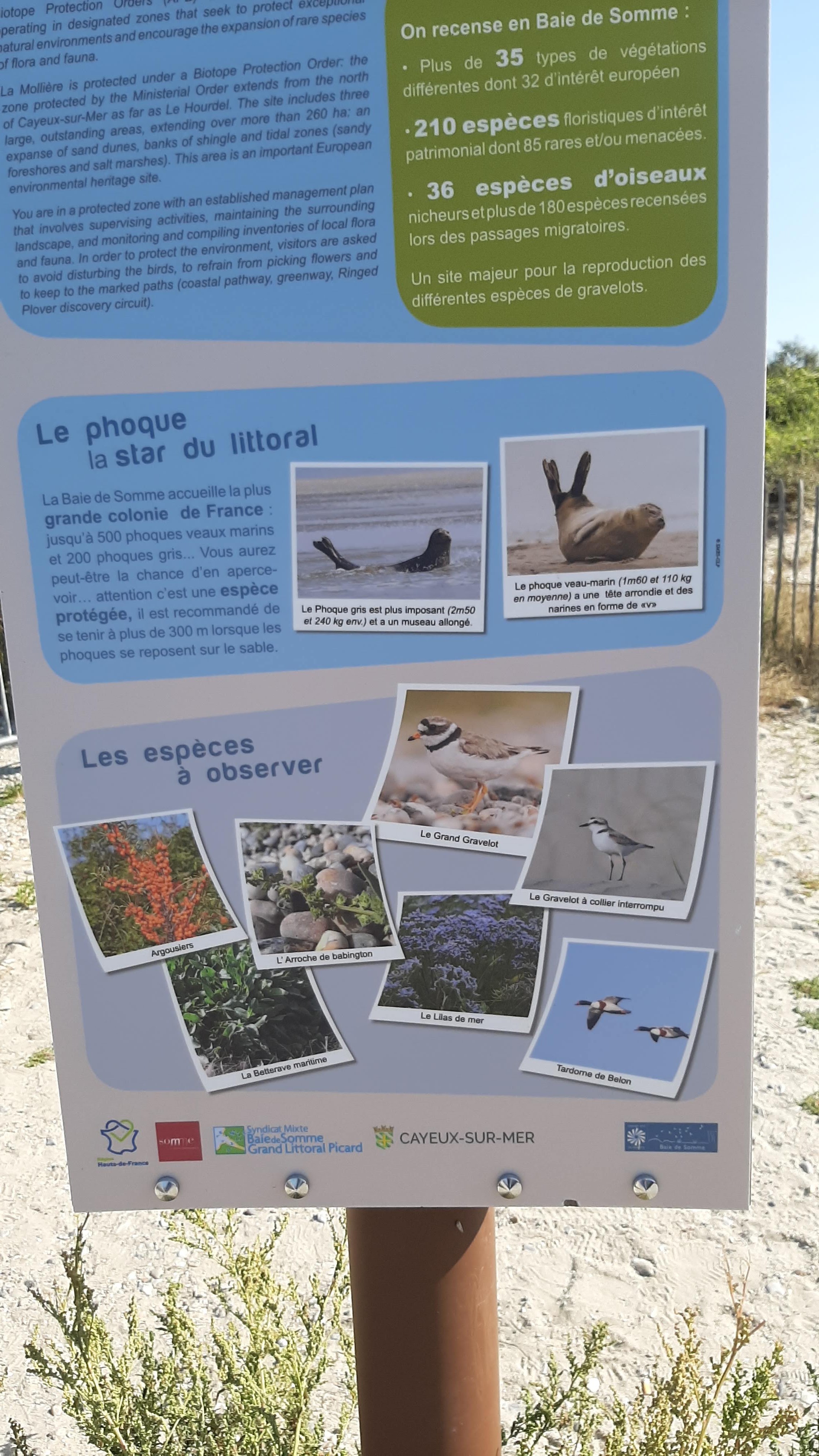 Photo n° 13 de l'avis de Raymond.e fait le 09/09/2021 à 14:58