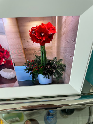 Florist «Pistils & Petals», reviews and photos, 1060 Alton Rd, Miami Beach, FL 33139, USA