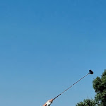 Photo n°19 de l'avis de Da. fait le 02/10/2023 à 06:41 sur le  Marco Simone Golf & Country Club à Guidonia Montecelio