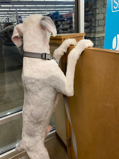 Pet Supply Store «Pet Supplies Plus», reviews and photos, 120 Sara Way, Belle Vernon, PA 15012, USA