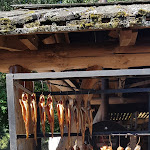 Photo n°2 de l'avis de Christina.a fait le 31/07/2020 à 19:17 sur le  Müritzfischer Fischerhof Damerow à Jabel