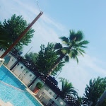 Photo n°4 de l'avis de Monica.u fait le 25/08/2019 à 17:15 sur le  Hotel Baltic à Alba Adriatica