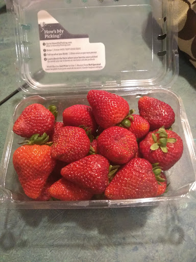 Supermarket «ALDI», reviews and photos, 770 St Lucie W Blvd, Port St Lucie, FL 34986, USA