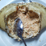 Photo n°1 de l'avis de dirk.a fait le 15/07/2022 à 11:48 sur le  Onda Sol à Torreira