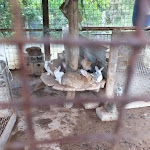 Photo n°15 de l'avis de Maria.o fait le 25/05/2019 à 21:48 sur le  Cucina Casareccia Sas Da Sabatino à Pozzuoli