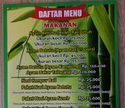 Ayam B22 photo