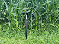 Litespeed Titanium Bicycles - Photo 7 - Car repair in Chattanooga, TN, Chattanooga