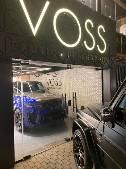 Voss Exotic Cars