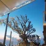 Photo n°1 de l'avis de Teresa.b fait le 02/06/2023 à 18:55 sur le  Pizza Scilla - Food and Colors... à Scilla