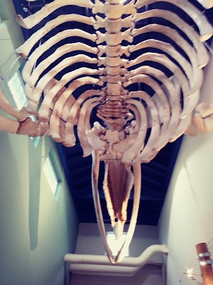 MaST Center Aquarium - photo 56