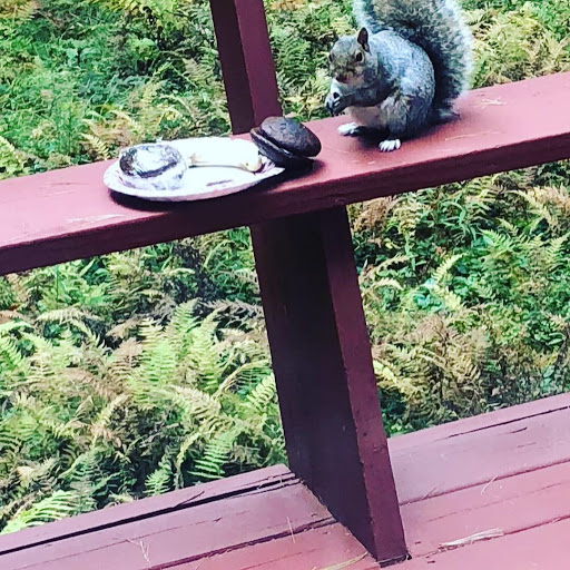 Community Center «Boxford Community Center», reviews and photos, 7 Elm St, Boxford, MA 01921, USA