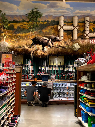 Sporting Goods Store «Bass Pro Shops», reviews and photos, 1356 Bass Pro Dr, Manteca, CA 95337, USA