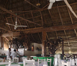 La Choza My Tony photo