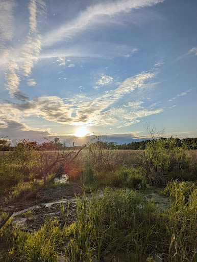 Park «Bass Lake Park», reviews and photos, 3450 Glenhurst Ave, Minneapolis, MN 55416, USA