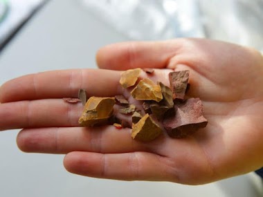 Unearthed Archaeology & Heritage