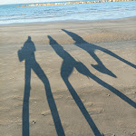 Photo n°5 de l'avis de Margherita.l fait le 24/11/2022 à 17:45 sur le  San Marco à Civitanova Marche