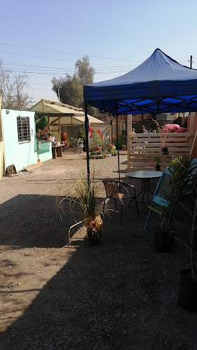 Jardín cinco flores