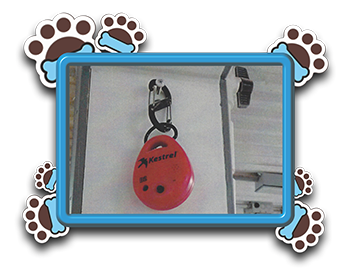 Pet Store «AA Ridgewood Kennels II», reviews and photos, 5401 Lincoln Hwy, Gap, PA 17527, USA