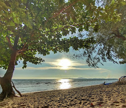 Dongtan Beach photo