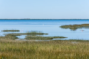 Galveston Island State Park Nature Center - photo 100