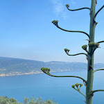 Photo n°1 de l'avis de 1707.K fait le 19/06/2023 à 20:44 sur le  Ristorante Pizzeria Campeggio Paradiso à Gargnano