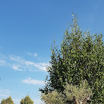 Photo n°2 de l'avis de M. fait le 14/06/2019 à 08:08 sur le  Corte Del Paggio à Valeggio sul Mincio