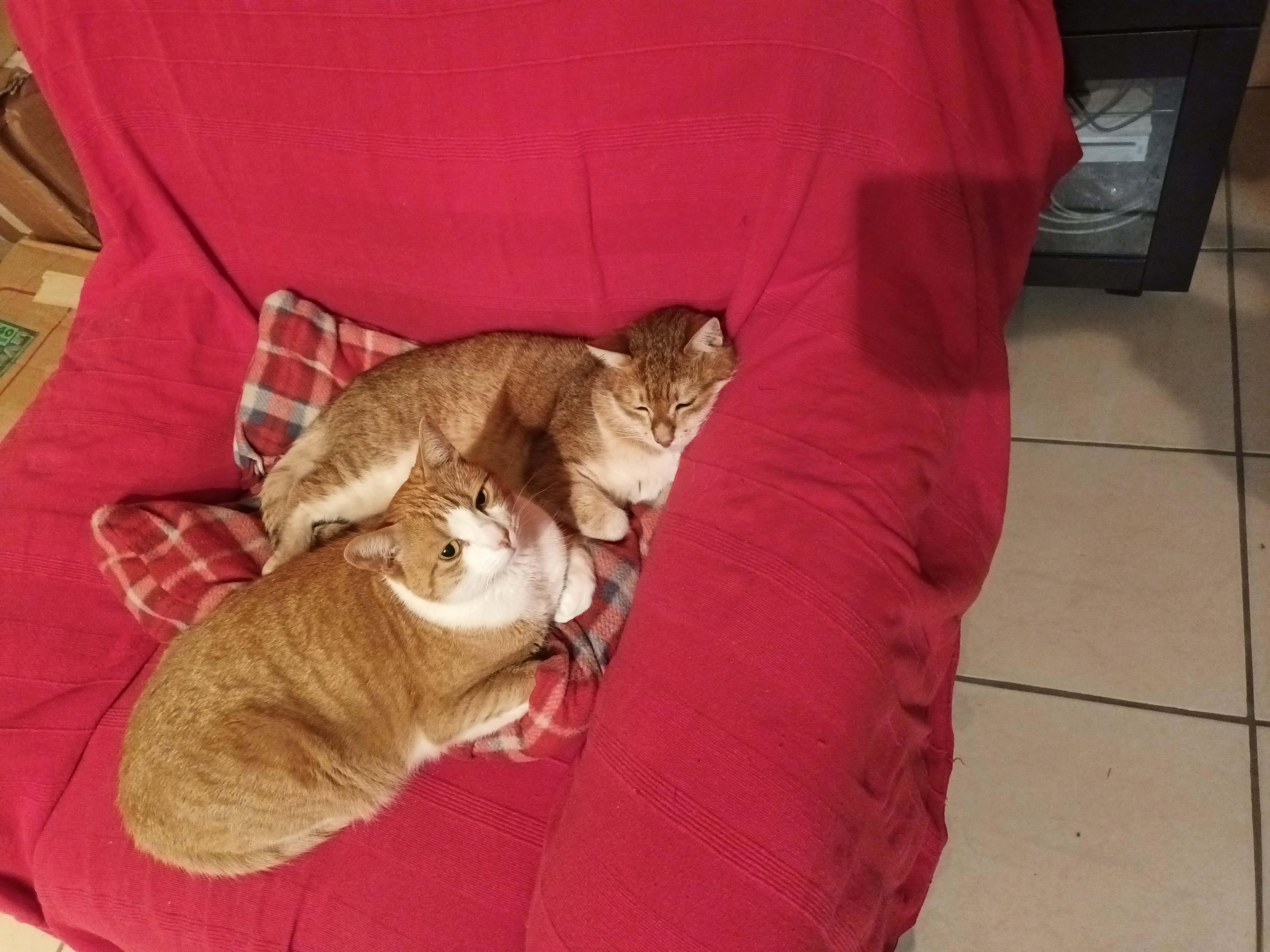 Photo n° 1 de l'avis de Marie-Ange.e fait le 09/02/2023 à 18:41
