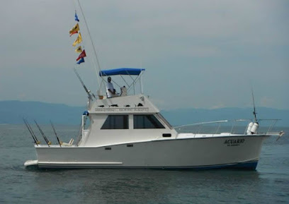 Dollys Fleet Sport Fishing Boats