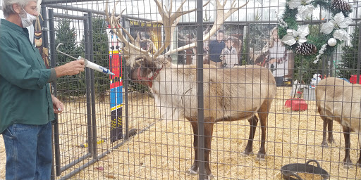 Garden Center «Bucks Country Gardens», reviews and photos, 1057 N Easton Rd, Doylestown, PA 18902, USA