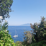 Photo n°6 de l'avis de Giuseppe.u fait le 27/08/2020 à 06:42 sur le  Caffè Chersoni à San Felice a Cancello