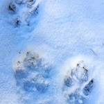 Photo n°2 de l'avis de moselo.e fait le 05/03/2023 à 21:26 sur le  Casa Aguarela à São Romão