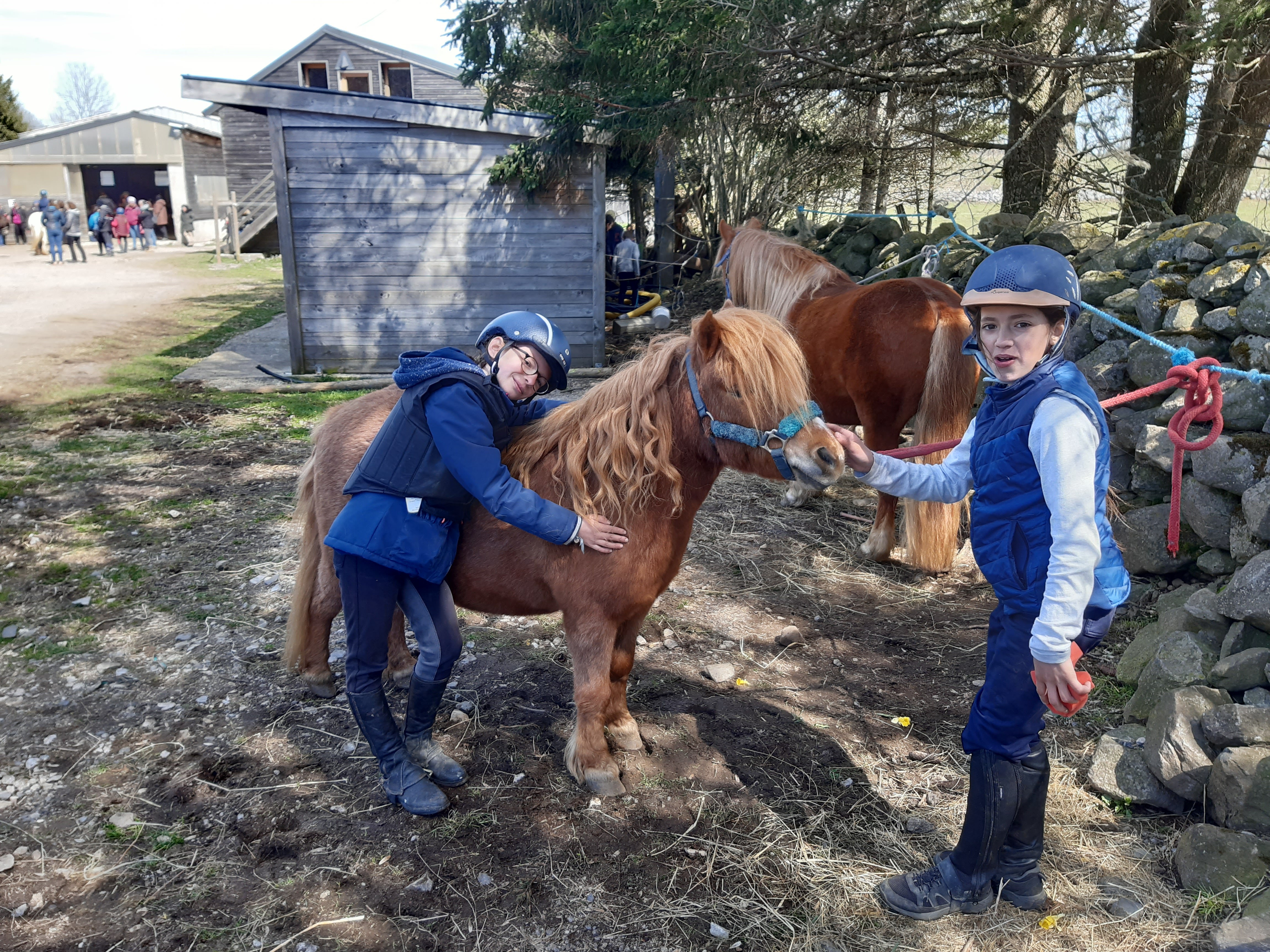 Photo n° 2 de l'avis de Laurent.o fait le 20/11/2023 à 22:32