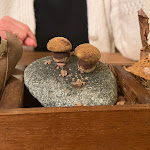 Photo n°1 de l'avis de Davide.a fait le 28/01/2023 à 21:09 sur le  CLU Ristorante à Ubiale Clanezzo