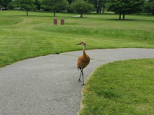 Golf Course «Indian Springs Metropark Golf», reviews and photos, 5100 Indian Trail, White Lake, MI 48386, USA