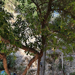 Photo n°4 de l'avis de Francesca. fait le 24/10/2021 à 15:36 sur le  Agriturismo la Montagnola à Torri in Sabina