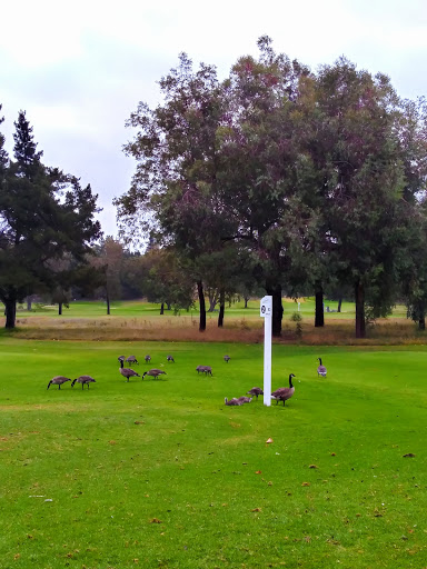 Golf Course «Sinaloa Golf Course», reviews and photos, 980 Madera Rd, Simi Valley, CA 93065, USA