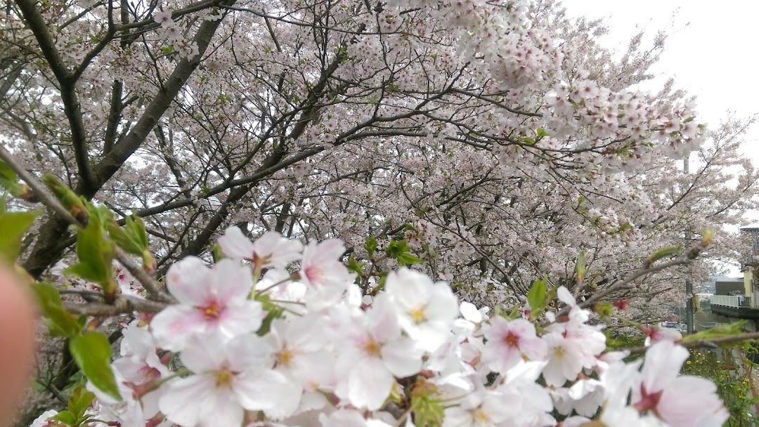 香月中央公園 遊具広場