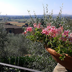 Photo n°10 de l'avis de Maxi.a fait le 22/08/2019 à 06:23 sur le  La Collina del Melograno à Sinalunga