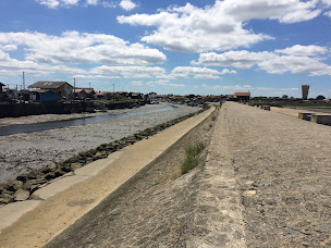 Photo n°18 de Port de Gujan à Gujan-Mestras ()