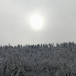 Photo n°2 de l'avis de Silvio.u fait le 03/01/2018 à 19:39 sur le  Hinterholz-Stube à Schiltach