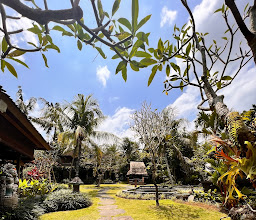 Bucu View Resort photo
