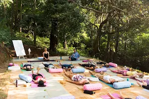 Yin Yoga Therapy Training image