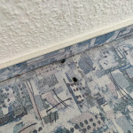 Photo n°3 de l'avis de Andreas.� fait le 27/12/2022 à 20:55 sur le  Hotel Raisch à Steinwenden