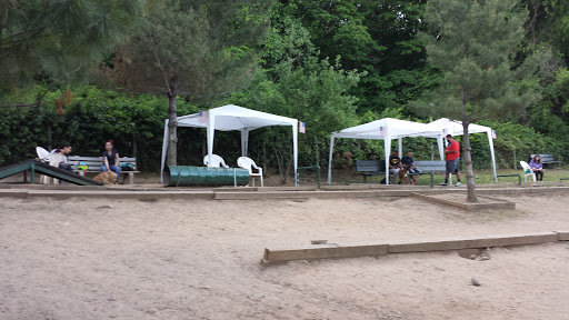Dog Park «Forest Park Dog Run», reviews and photos, 8445 Park Ln S, Woodhaven, NY 11421, USA
