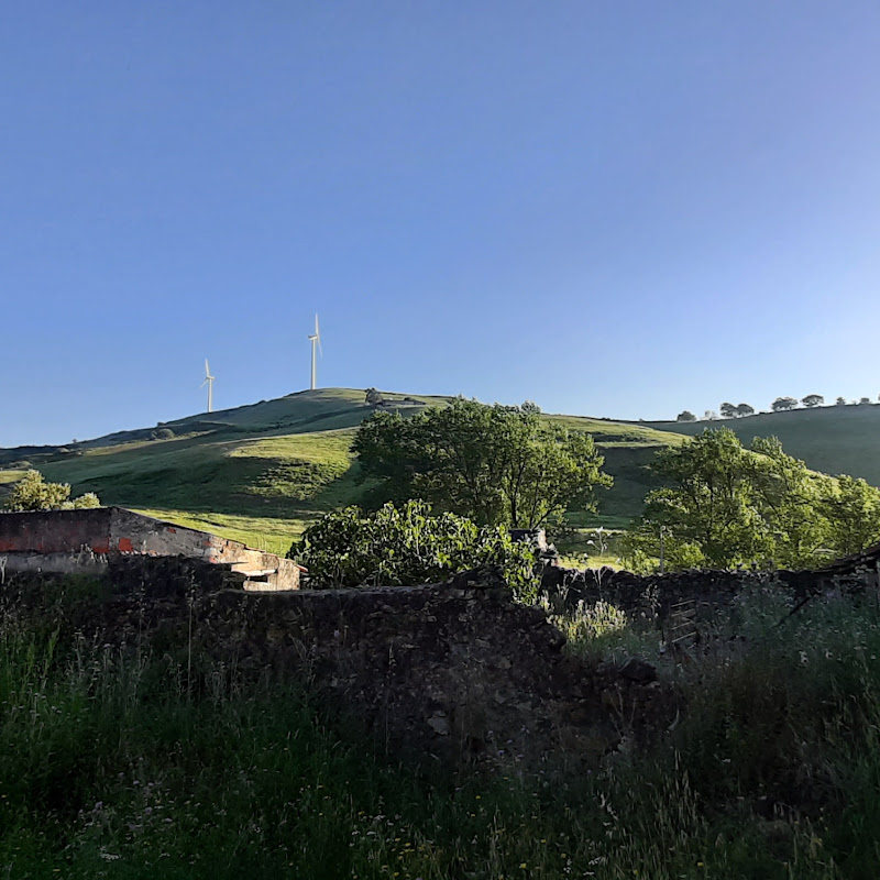 6 image