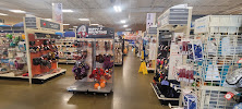 PetSmart - Photo 3 - Car repair in Charlotte, NC, Charlotte