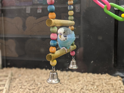 Pet Supply Store «PetSmart», reviews and photos, 8111 Brier Creek Pkwy, Raleigh, NC 27617, USA