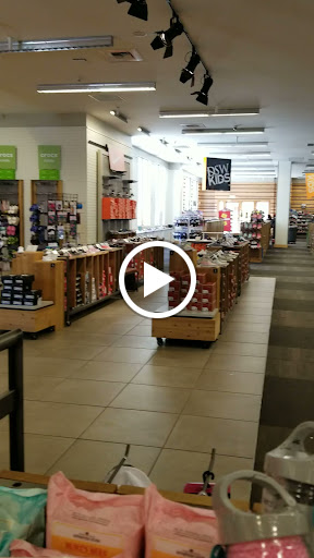 Shoe Store «DSW Designer Shoe Warehouse», reviews and photos, 300 E Colorado Blvd #250, Pasadena, CA 91101, USA