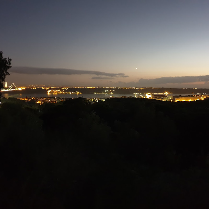 5 image