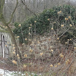 Photo n°9 de l'avis de Lutz.e fait le 20/03/2018 à 14:52 sur le  Château de Scharfenberg à Klipphausen